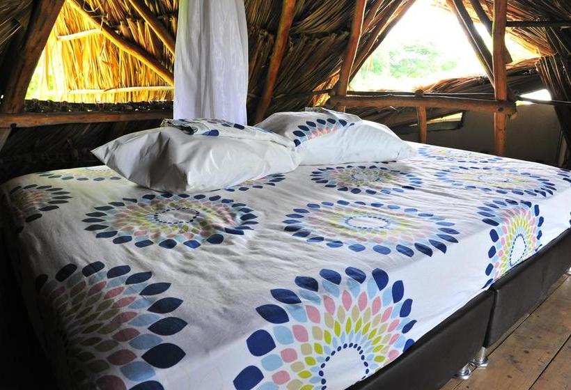 Faro Hostel Palomino | Palomino | La Guajira | Colombia 16