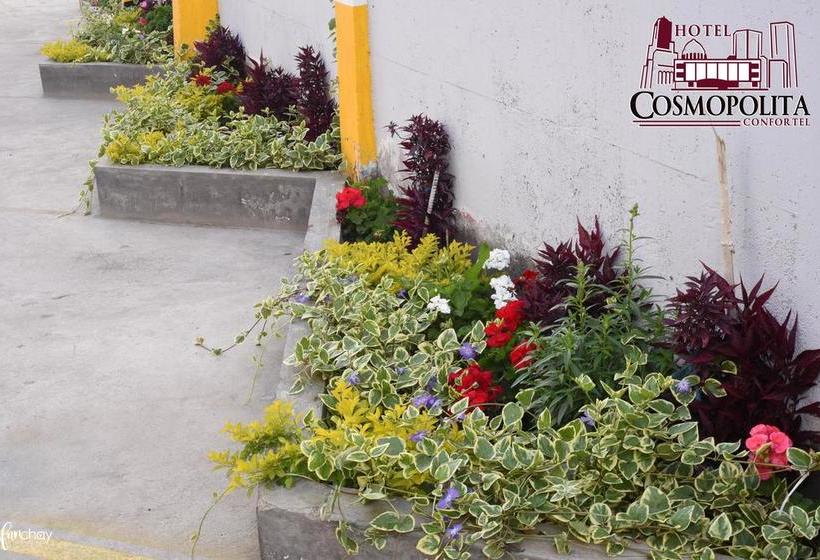 Hotel Cosmopolita Ambato | Ambato | Tungurahua | Ecuador 13