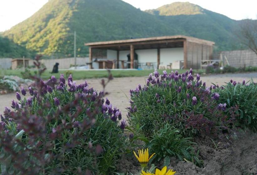 Bed and Breakfast Callihue Lodge | Santa Cruz | O'Higgins | Chile 17