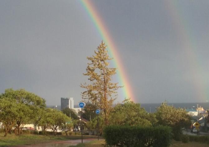Bed and Breakfast Refugio Punta Arenas | Punta Arenas | Magallanes y Antartica | Chile 13