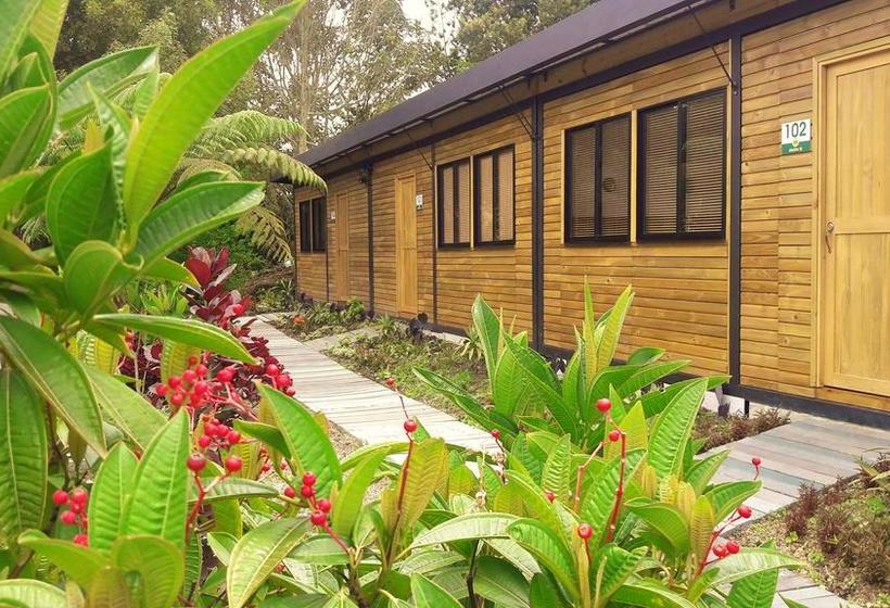 Albergue Star Hostal  Club De Tenis Rionegro Antioquia