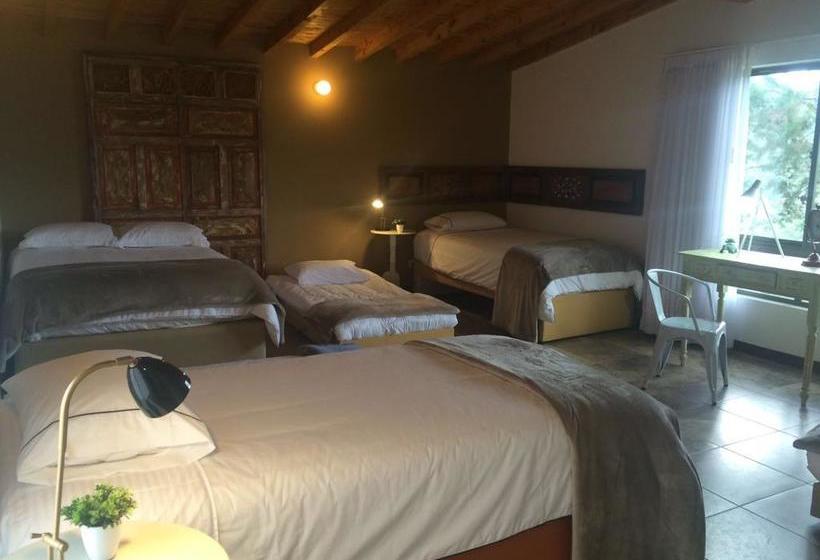 Hotel Entre Bosques Antioquia