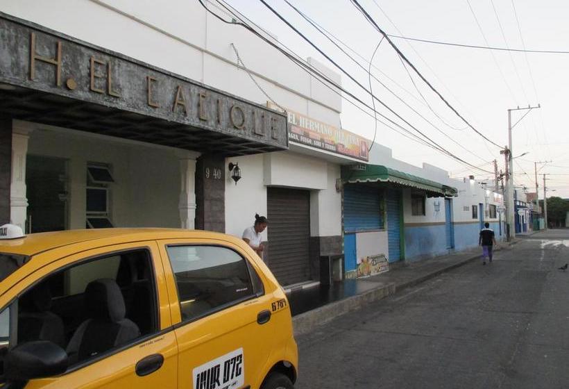 Hotel Hostal El Cacique | Valledupar | Cesar | Colombia 8
