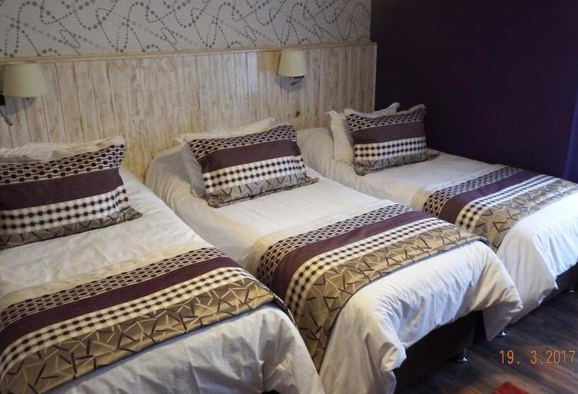 Lv Hoteles | Viña del Mar | Valparaiso | Chile 11