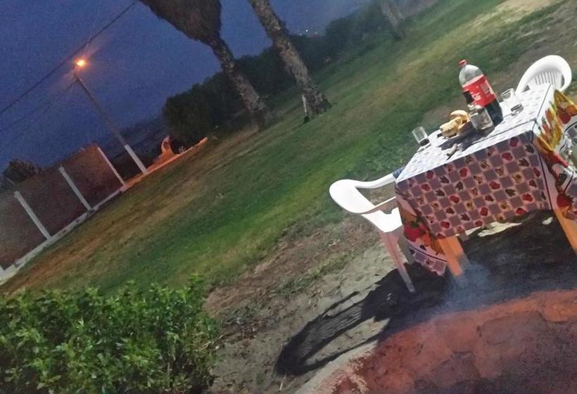 Hotel Mejia Mollendo | Mollendo | Islay | Perú 14