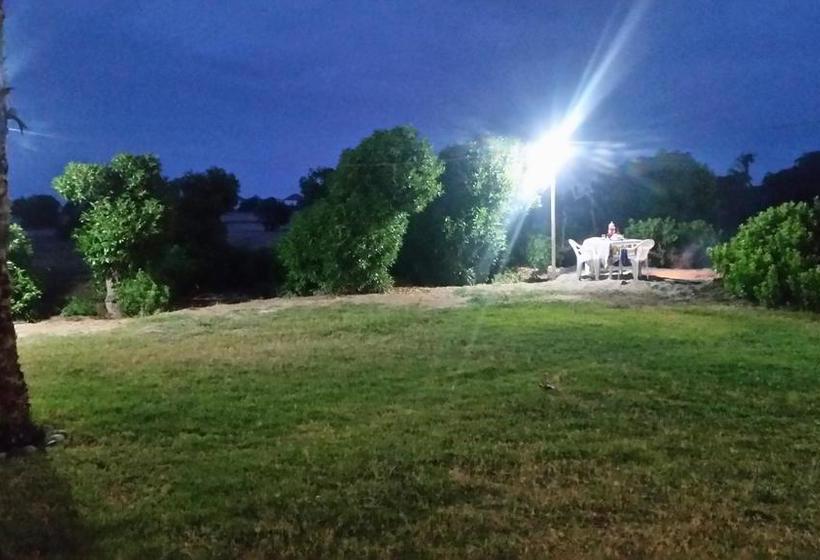 Hotel Mejia Mollendo | Mollendo | Islay | Perú 15