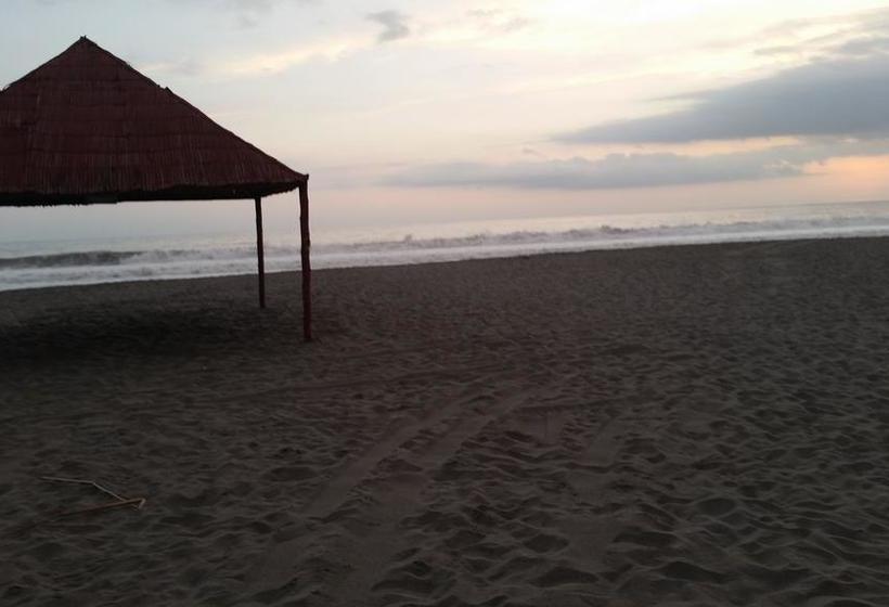 Hotel Mejia Mollendo | Mollendo | Islay | Perú 18