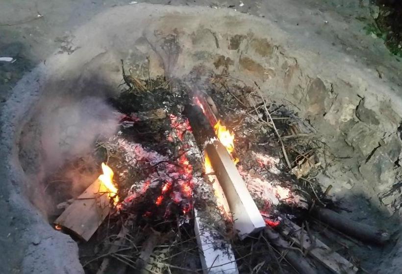 Hotel Mejia Mollendo | Mollendo | Islay | Perú 8