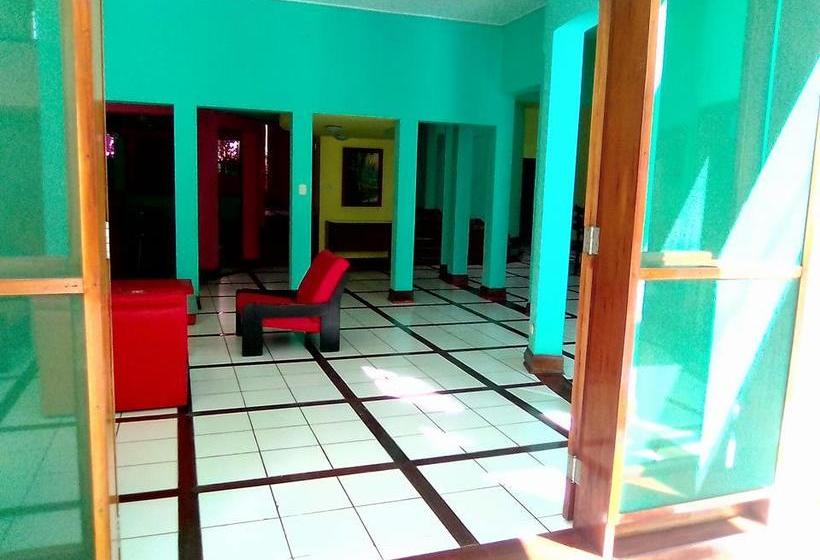 Amazonas Green Hostel | Iquitos | Maynas | Perú 10