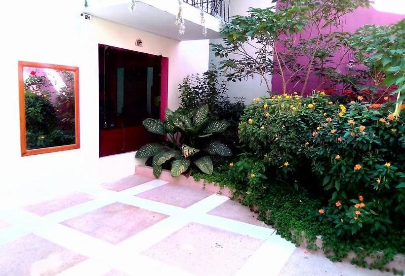 Amazonas Green Hostel | Iquitos | Maynas | Perú 12