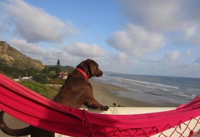 Bed and Breakfast Villa De Los Suenos | Montañita | Santa Elena | Ecuador 12