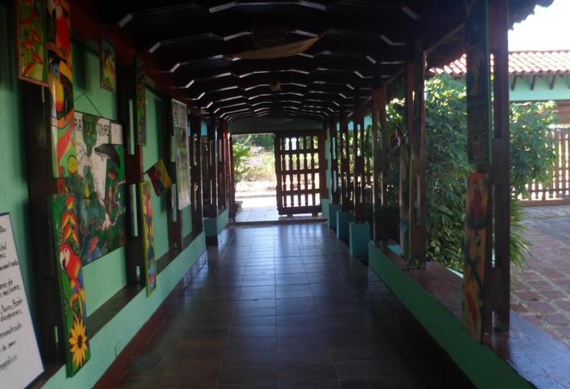 Hotel Pirarucu Leticia | Leticia | Amazonas | Colombia 10