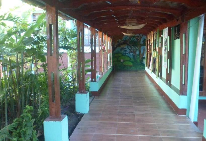 Hotel Pirarucu Leticia | Leticia | Amazonas | Colombia 11