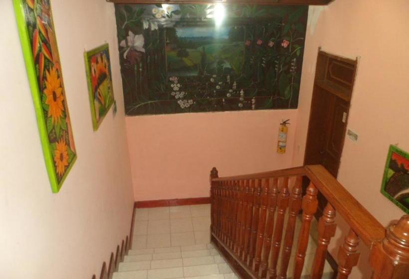 Hotel Pirarucu Leticia | Leticia | Amazonas | Colombia 20