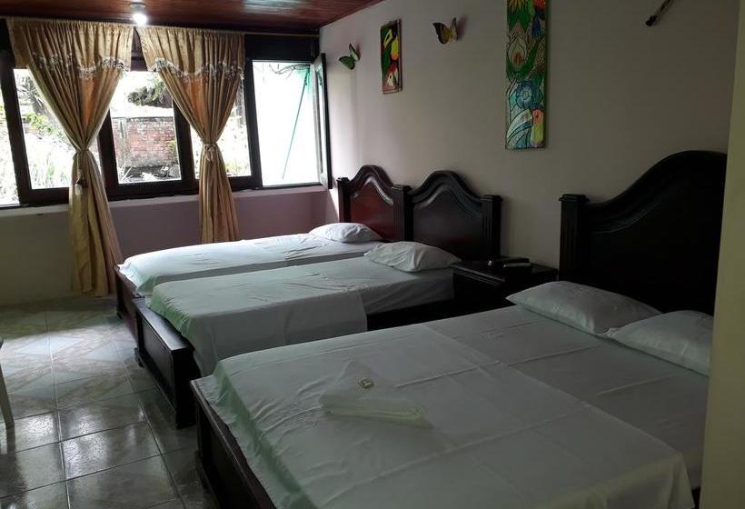 Hotel Pirarucu Leticia | Leticia | Amazonas | Colombia 5