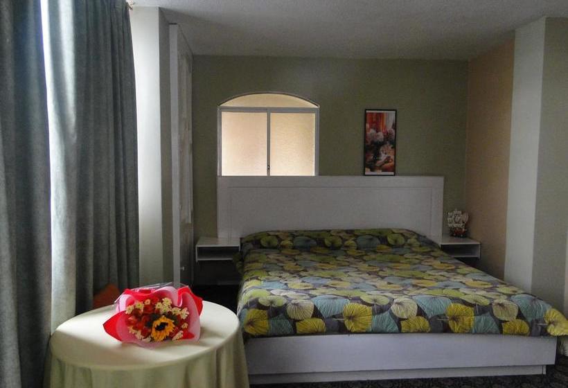 Albergue Hostal Fenix | Ibarra | Imbabura | Ecuador 14