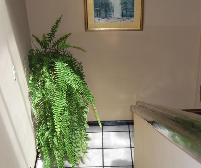 Albergue Hostal Hamilton | Cuenca | Azuay | Ecuador 11