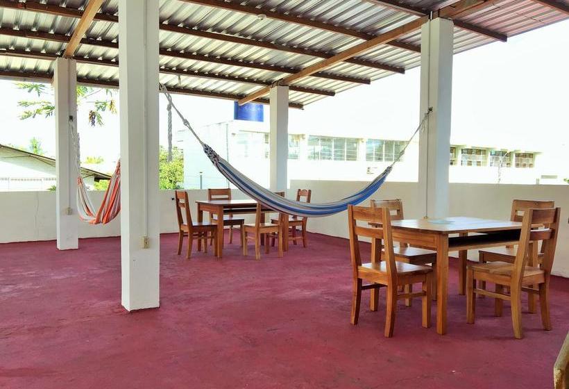 Albergue Hostal El Paraiso | Puerto Ayora | Galápagos | Ecuador 17