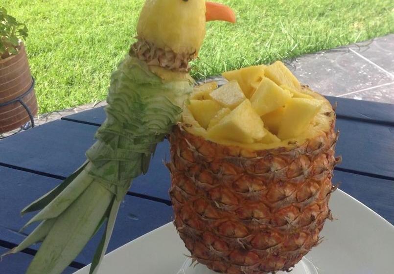 Bed and Breakfast Magia In Tavola | Tumbaco | Pichincha | Ecuador 19