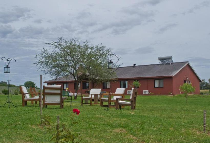 Bed and Breakfast Los Azahares Carmelo Colonia