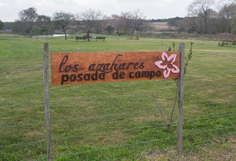 Bed and Breakfast Los Azahares | Carmelo | Colonia | Uruguay 1