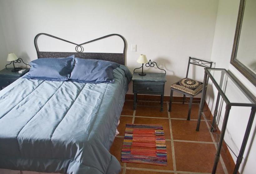 Bed and Breakfast Los Azahares | Carmelo | Colonia | Uruguay 10