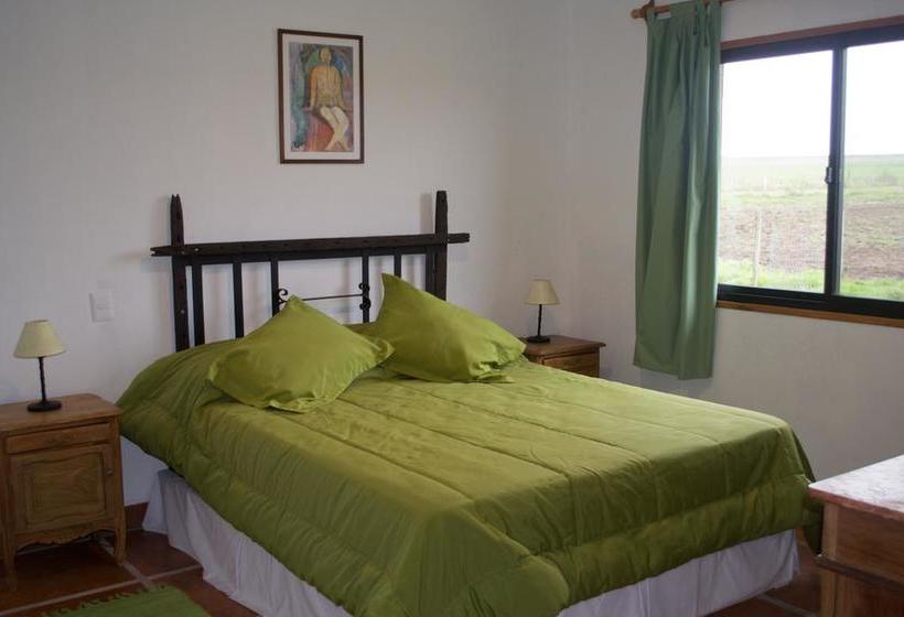 Bed and Breakfast Los Azahares | Carmelo | Colonia | Uruguay 11