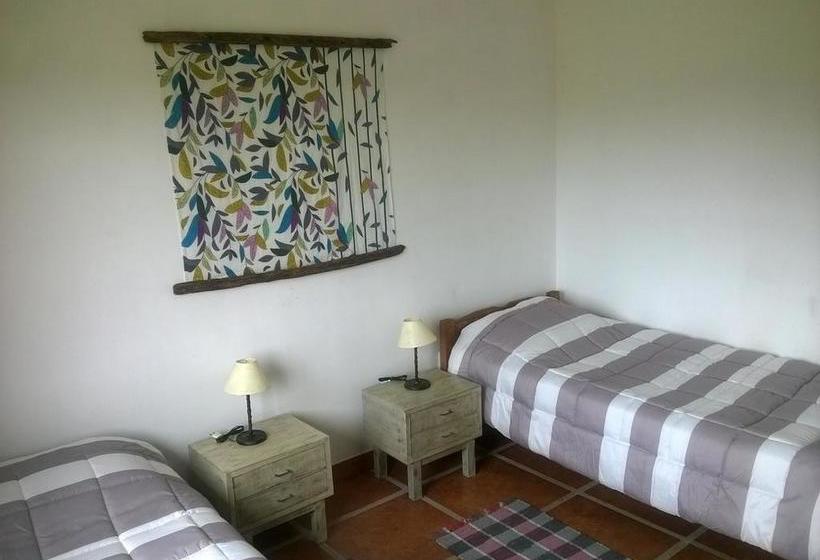 Bed and Breakfast Los Azahares | Carmelo | Colonia | Uruguay 14