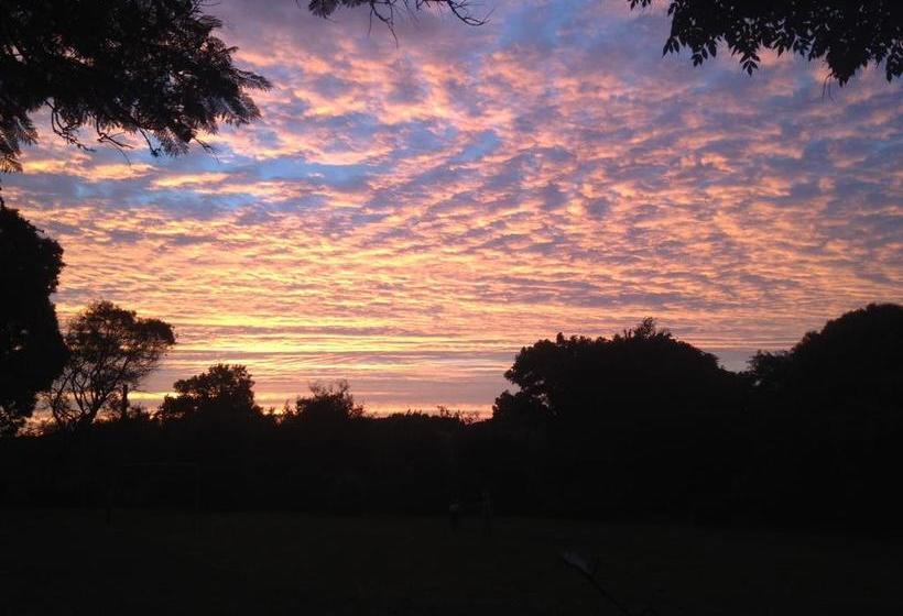 Bed and Breakfast Los Azahares | Carmelo | Colonia | Uruguay 15