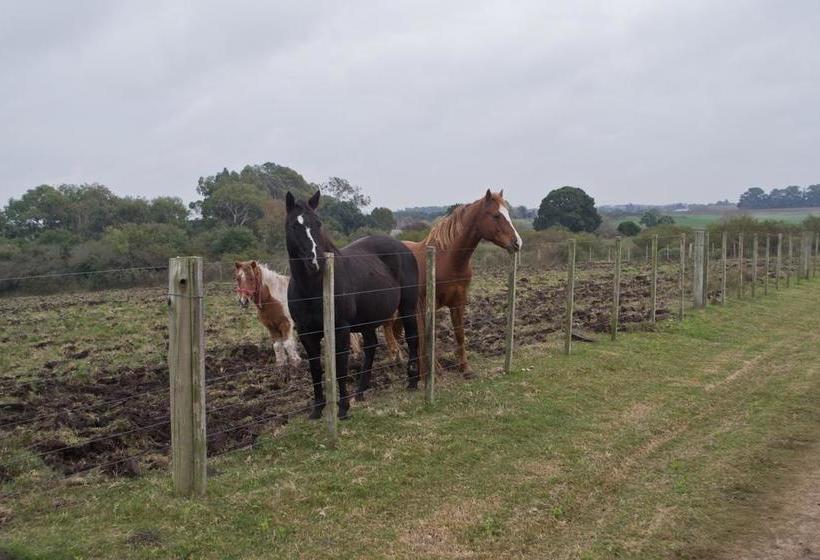 Bed and Breakfast Los Azahares | Carmelo | Colonia | Uruguay 17