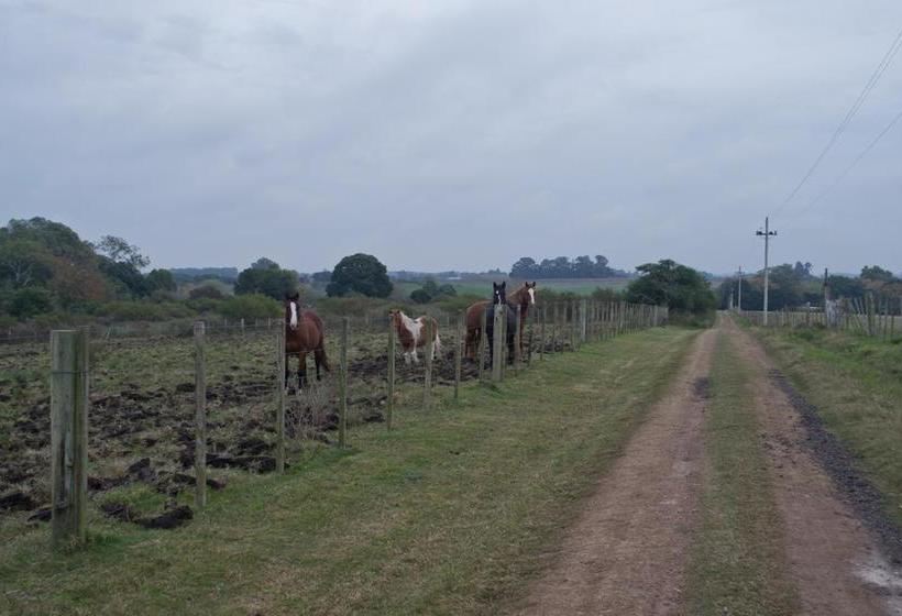 Bed and Breakfast Los Azahares | Carmelo | Colonia | Uruguay 18