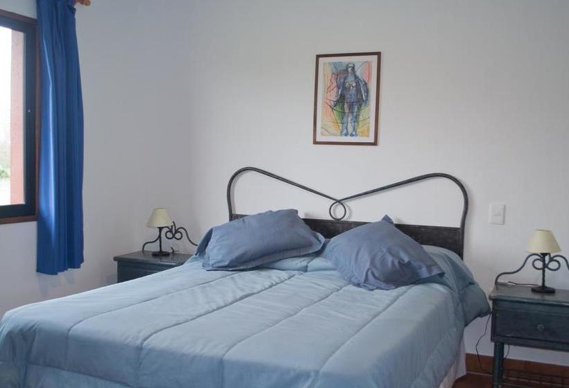 Bed and Breakfast Los Azahares | Carmelo | Colonia | Uruguay 19
