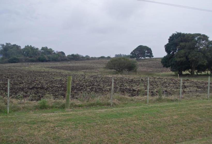 Bed and Breakfast Los Azahares | Carmelo | Colonia | Uruguay 20