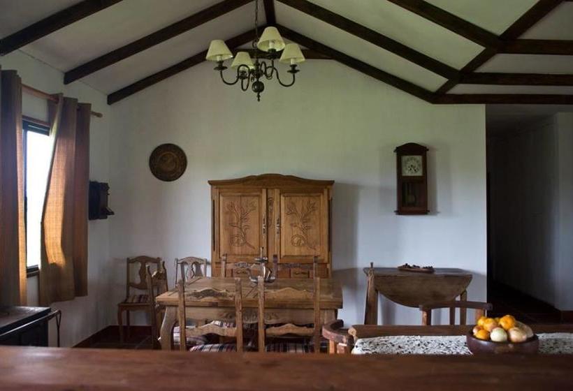 Bed and Breakfast Los Azahares | Carmelo | Colonia | Uruguay 4