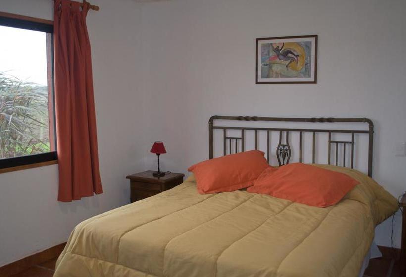 Bed and Breakfast Los Azahares | Carmelo | Colonia | Uruguay 8