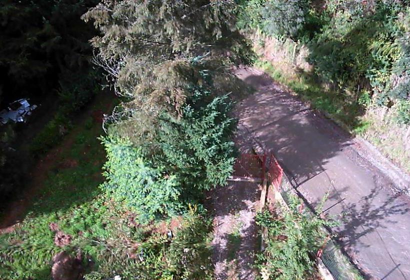 Bed and Breakfast Casa De Campo | Valdivia | Los Lagos | Chile 4