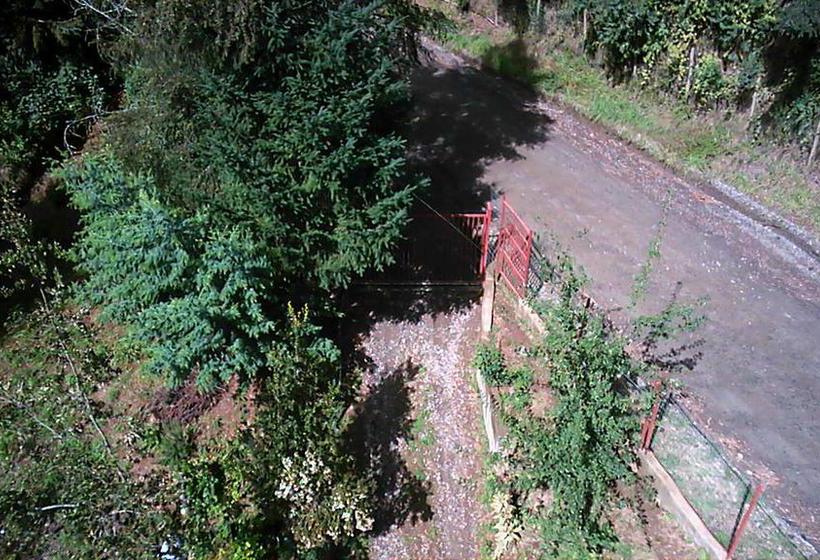 Bed and Breakfast Casa De Campo | Valdivia | Los Lagos | Chile 5