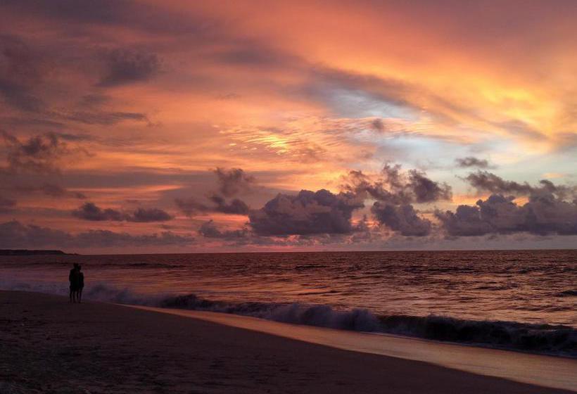 The Sea Garden B&b  Zorritos | Zorritos | Contralmirante Villar | Perú 1