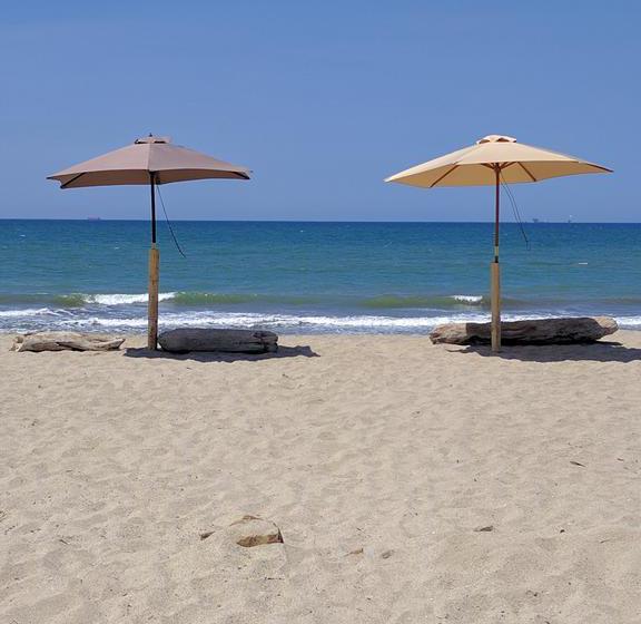 The Sea Garden B&b  Zorritos | Zorritos | Contralmirante Villar | Perú 13