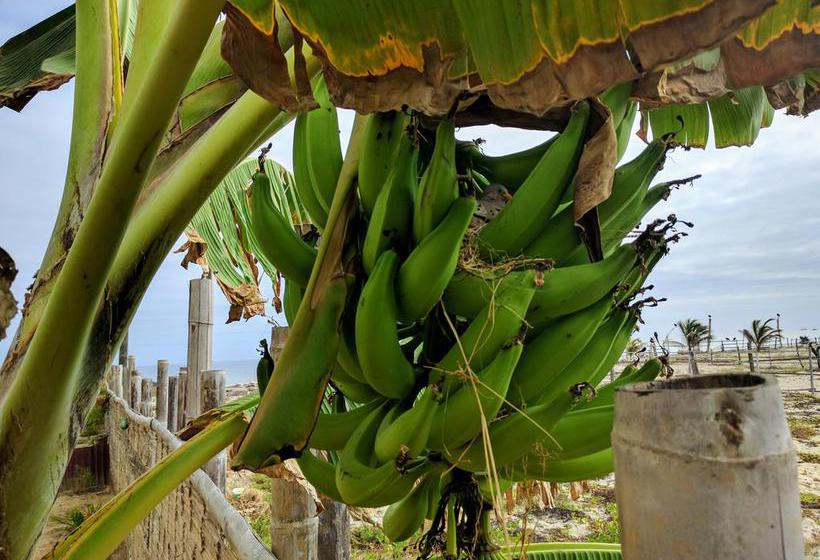 The Sea Garden B&b  Zorritos | Zorritos | Contralmirante Villar | Perú 3