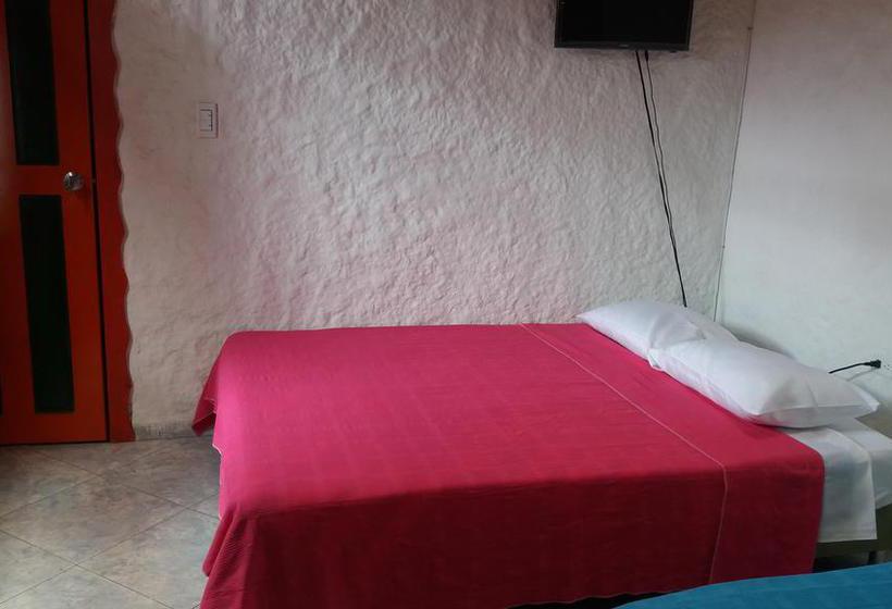 Bed and Breakfast Casa Hotel él Cafeto | Montenegro | Quindío | Colombia 12