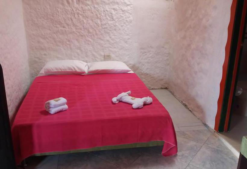 Bed and Breakfast Casa Hotel él Cafeto | Montenegro | Quindío | Colombia 13