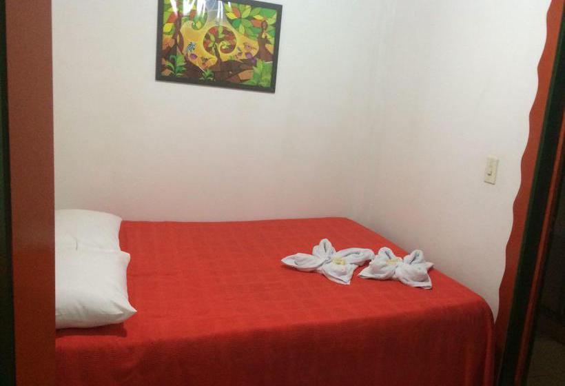 Bed and Breakfast Casa Hotel él Cafeto | Montenegro | Quindío | Colombia 7