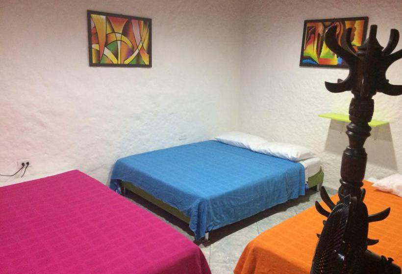 Bed and Breakfast Casa Hotel él Cafeto | Montenegro | Quindío | Colombia 9