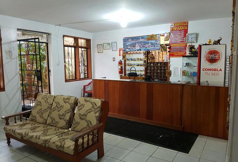 Hotel Hospedaje Español | Puerto Maldonado | Tambopata | Perú 14