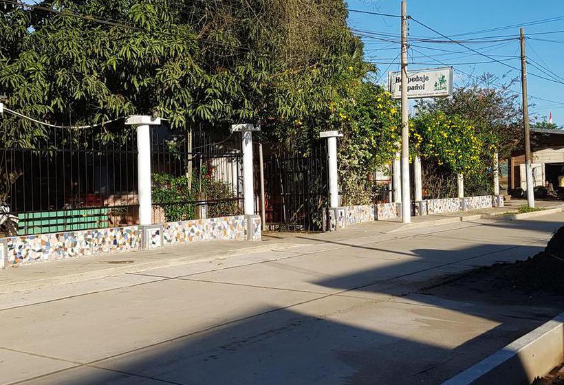 Hotel Hospedaje Español | Puerto Maldonado | Tambopata | Perú 18