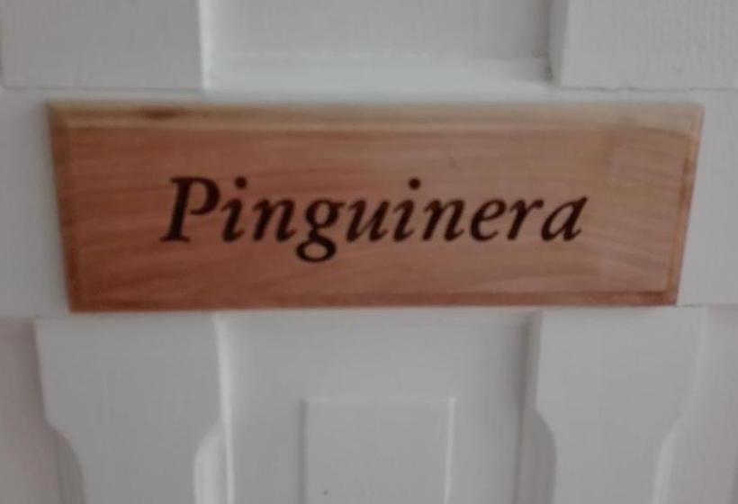 Bed and Breakfast Endless Sky Hostel | Punta Arenas | Magallanes y Antartica | Chile 2