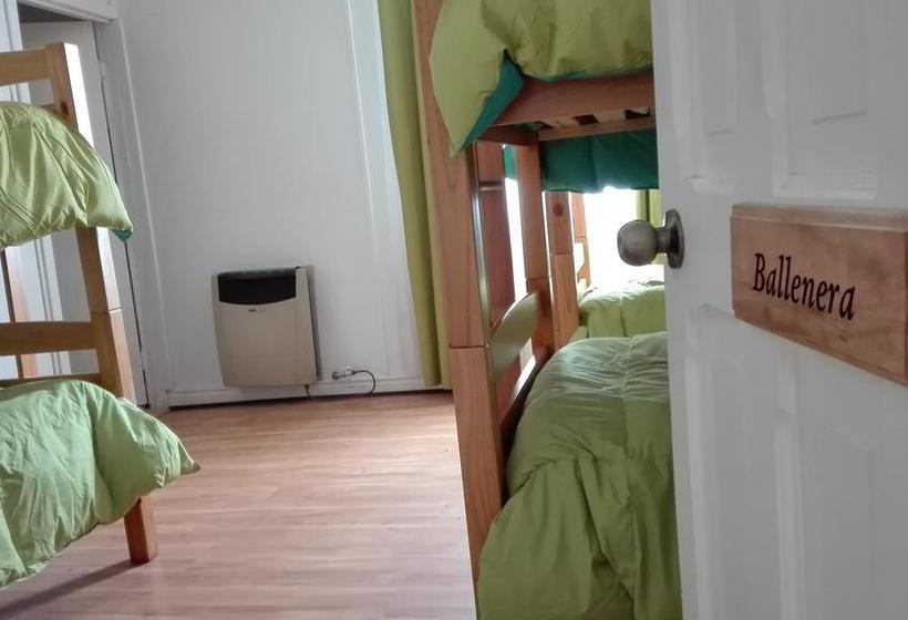 Bed and Breakfast Endless Sky Hostel | Punta Arenas | Magallanes y Antartica | Chile 5