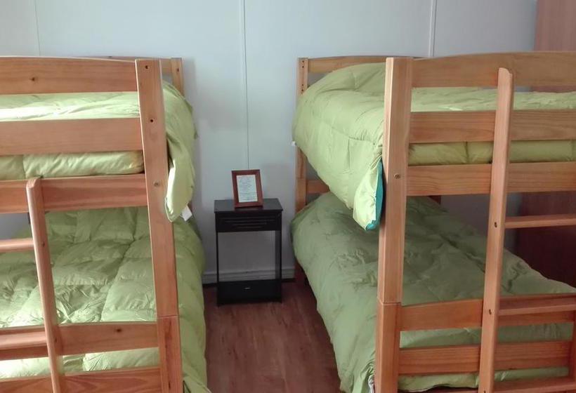 Bed and Breakfast Endless Sky Hostel | Punta Arenas | Magallanes y Antartica | Chile 8