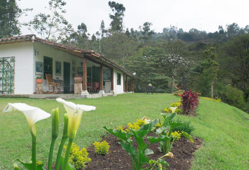 Bed and Breakfast La Cabaña